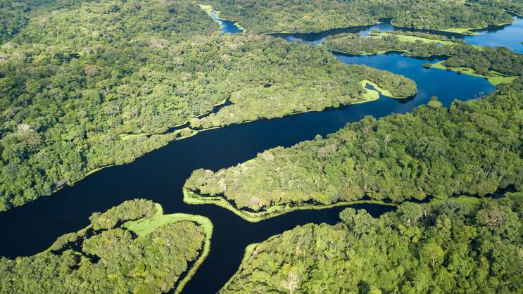 Wenn die Biodiversität schwindet, droht der Zusammenbruch der Ökosysteme: Amazonas-Regenwald im brasilianischen Bundesstaat Pará.