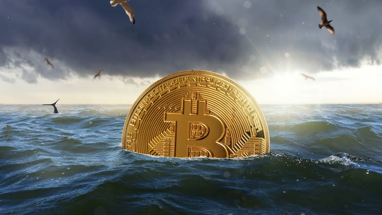 bitcoin is swimming in the ocean