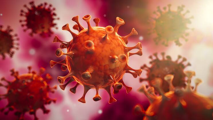 Corona Virus im Inneren des KAPrpers - Wuhan Virus