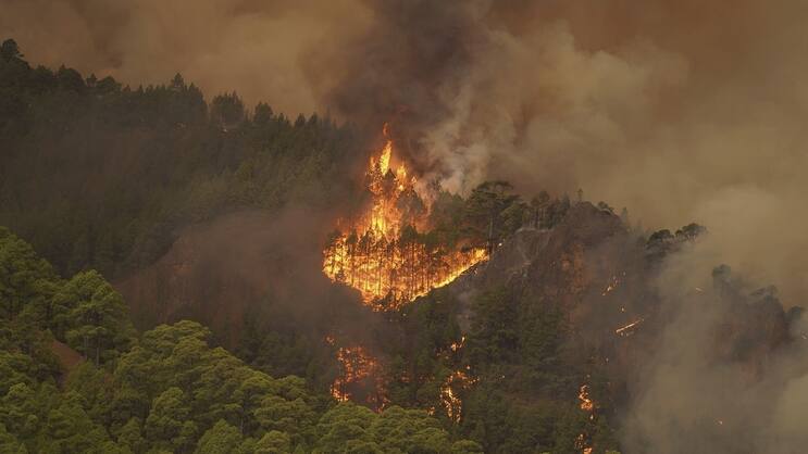 Waldbrände, wie im August 2023 auf Teneriffa, werden laut dem EASAC-Bericht in Europa künftig nicht nur häufiger, sondern auch intensiver erwartet.