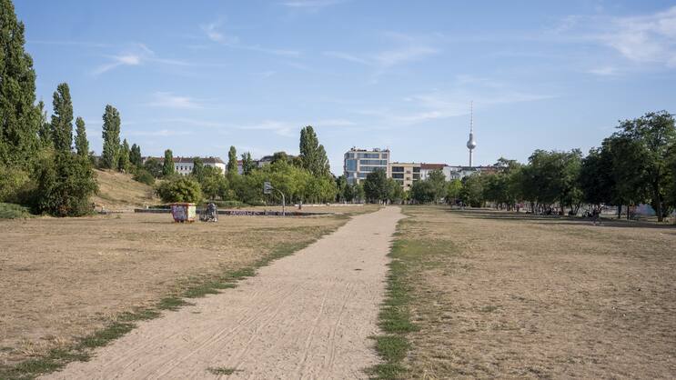 Ausgetrockneter Park in Berlin im August 2022.