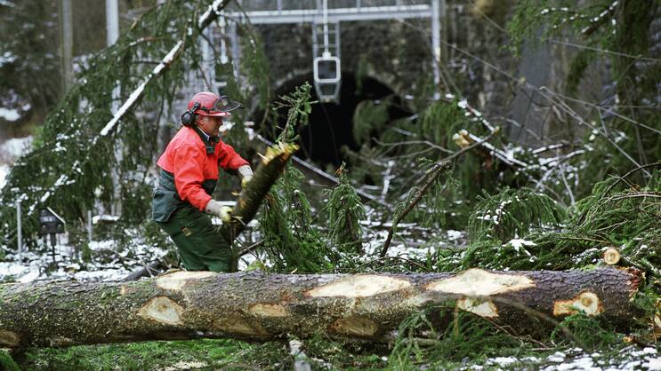 Ein Mitarbeiter des Forstdienstes der BLS-Bahnen, traegt am Montag, 27. Dezember 1999 bei Mitholz BE Holz von den Geleisen der Loetschbergbahn. Am Vortag hatten die Orkane Kurt und Lothar Baeume geknickt, die das Trassee bedecken und Fahrleitungen beschaedigten. (KEYSTONE/Alessandro della Valle)