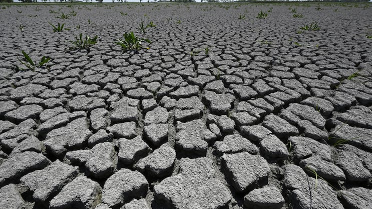 Trockenheit in Österreich: Durch den Klimawandel gibt es mehr extreme Wetterereignisse.