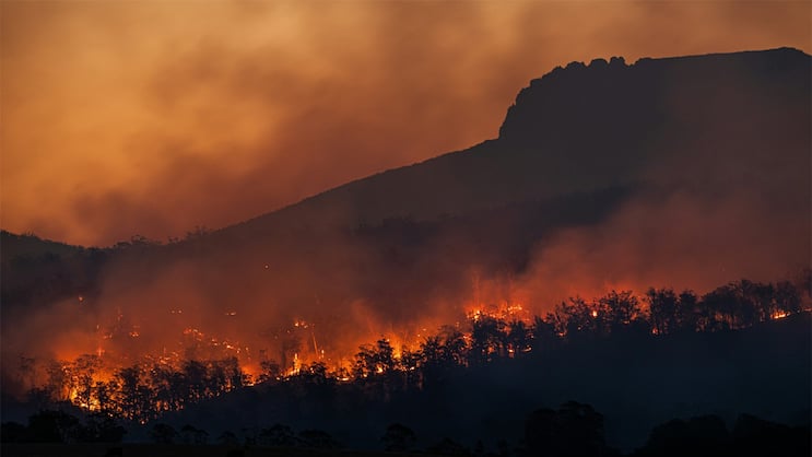 Angefacht von einer Hitzewelle haben die Brände im Südosten Australiens Häuser und grosse Waldflächen zerstört.