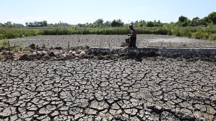 Rissige Reisfelder durch die anhaltende Dürre in der Region Aceh Besar in Indonesien im Juli 2026. Die meisten Gebiete der Provinz Aceh und mehrere andere Regionen in Indonesien sind bereits in die Trockenzeit eingetreten, während das El-Niño-Phänomen voraussichtlich bis Januar 2027 eine starke Intensität erreichen wird.