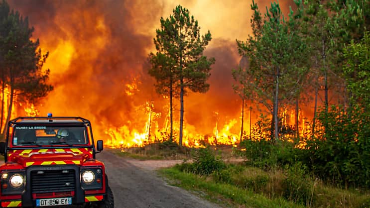 Im Sommer 2026 leider ein gewohntes Bild: Waldbrände hinterlassen nicht nur in Frankreich eine Schneise der Verwüstung.