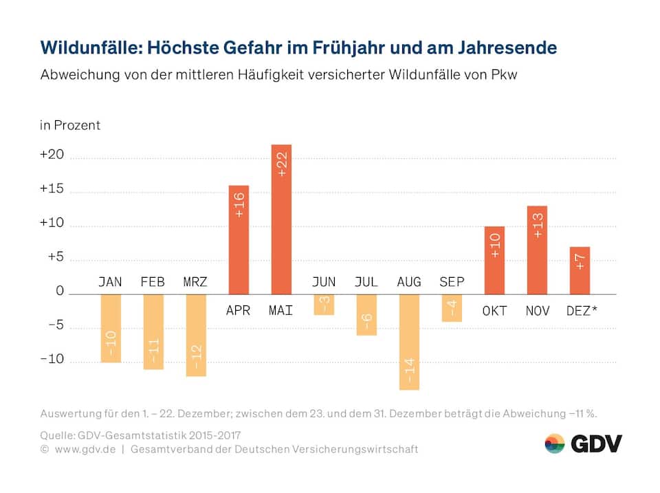 Wildunfälle: Höchste Gefahr im Frühjahr und am Jahresende.